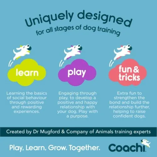 Coachi Navy Puppy Training Lead - 2.5m