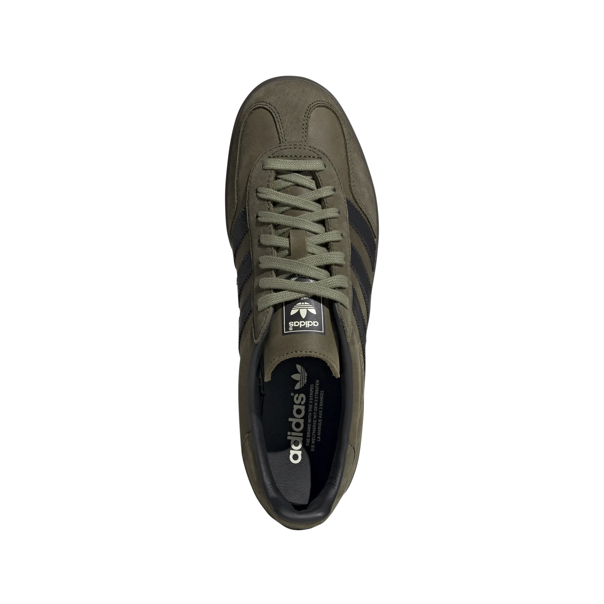 Gazelle Indoor 'Focus Olive'