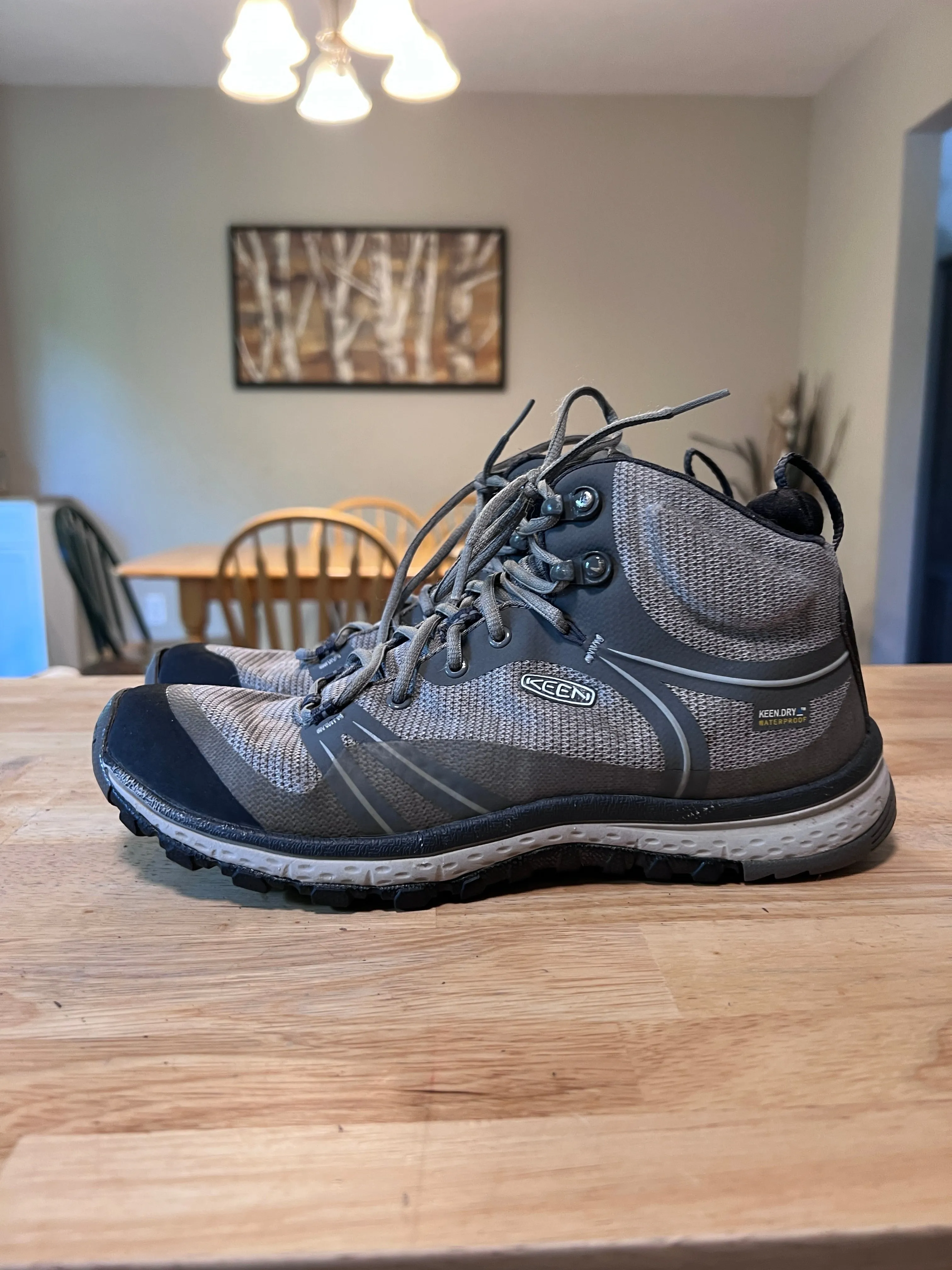 Keen Terradora Mid Hiking Boots Women's 8